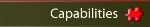 Capabilities